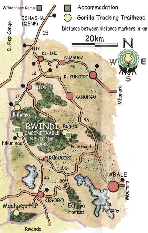 Bwindi and Virunga national parks